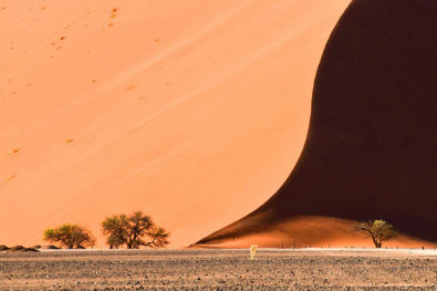 visiter la namibie : désert et dunes